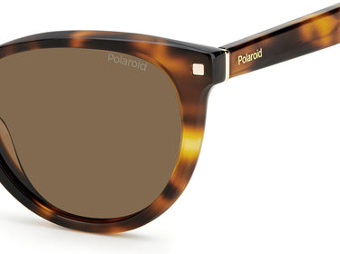 Women Polaroid Sunglasses: PLD 4111/S/X - Havana - SpecSMART Eye Clinic (Zoom View)